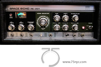 Enlarged view of image